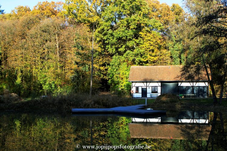 sized_2kopie1(002)