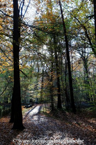 sized_24(002)
